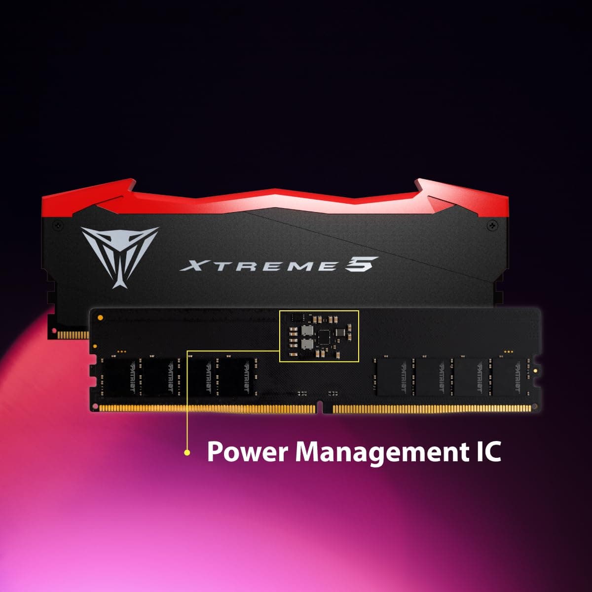 Patriot Viper Xtreme 5 32GB (2x16GB) DDR5 8200MHz CL38